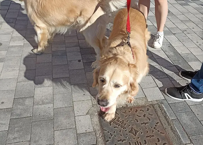 Casa Gramsci לינה וארוחת בוקר *